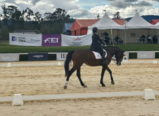 Campeonato Nacional de Adiestramiento