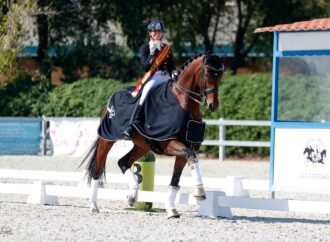 La equitación: arte, tradición y competencia en los Juegos Olímpicos