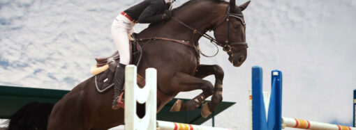 Éxito y solidaridad en la XVI edición de la Laureus Polo Cup