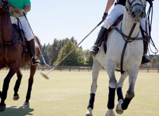 Éxito y solidaridad en la XVI edición de la Laureus Polo Cup