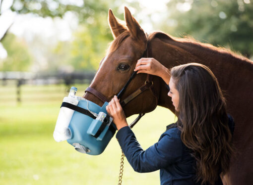 Nebulizadores: Una innovación fundamental en el cuidado de los caballos