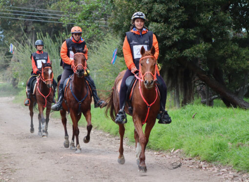 Emocionante competencia de Enduro Ecuestre en Colombia: Las Dos Lagunas marca el inicio del calendario