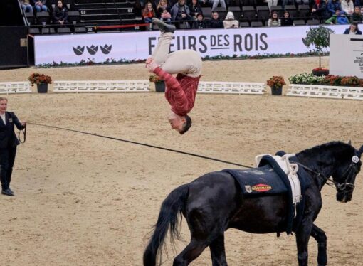 Triunfo alemán y éxito italiano iluminan la Final de la Copa del Mundo de Vaulting FEI™ en Basilea