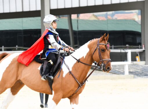 Explorando los primeros pasos en los deportes ecuestres: Be Jumpers