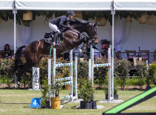 “Lo más importante para mí son los caballos, ellos son lo que me inspiran, los que hacen que todo valga la pena”: Alejandra Valencia