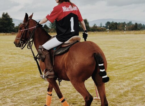 “Saber aprender de los errores u obstáculos y levantarse con más fuerza son habilidades valiosas en el polo”:Alina Durana Arango