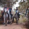 Gran Desafío en Haras la Macoya: Segunda Válida del Enduro Ecuestre 2024 Desafía a jinetes y caballos