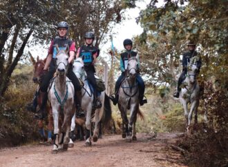 Gran Desafío en Haras la Macoya: Segunda Válida del Enduro Ecuestre 2024 Desafía a jinetes y caballos