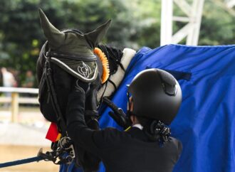 “los caballos me inspiran a seguir esforzándome para ganar, y me retan a ser mejor cada día”: Manuela Santamaría