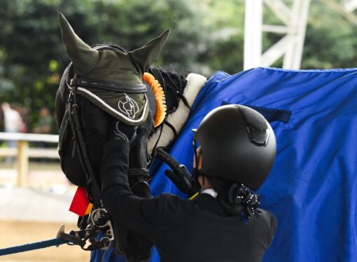 “los caballos me inspiran a seguir esforzándome para ganar, y me retan a ser mejor cada día”: Manuela Santamaría