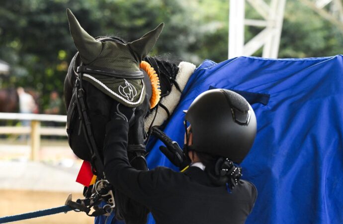 “los caballos me inspiran a seguir esforzándome para ganar, y me retan a ser mejor cada día”: Manuela Santamaría