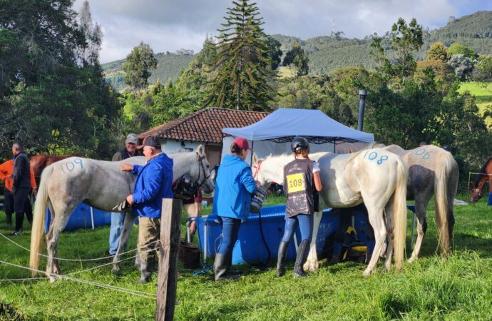 Cuarta válida del calendario Nacional de Enduro Ecuestre: De regreso a Subachoque