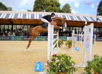 Haras Campo Alegre anuncia las crías de Brienne de Landetta, ganadora del Big Tour 2024