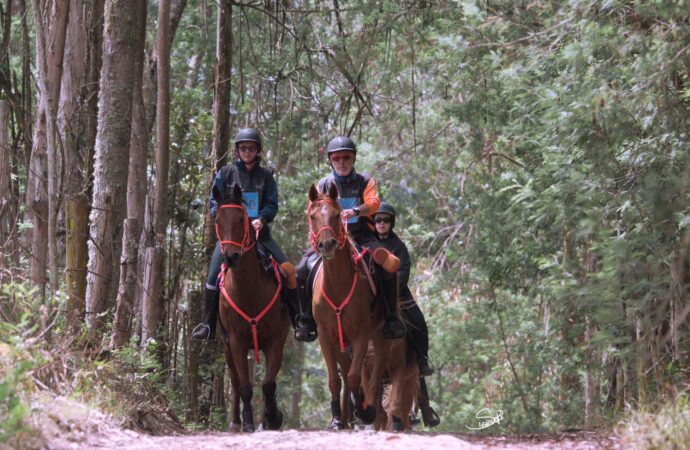 Arranca la temporada 2025 de enduro ecuestre