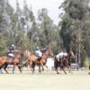 Nace la Asociación de Jugadores de Polo (AJP): Un nuevo impulso para el polo en Colombia