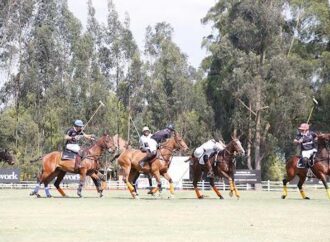 Nace la Asociación de Jugadores de Polo (AJP): Un nuevo impulso para el polo en Colombia