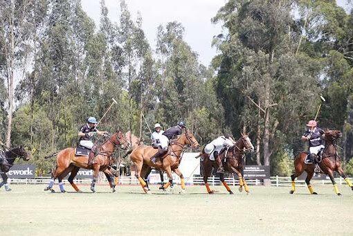 Nace la Asociación de Jugadores de Polo (AJP): Un nuevo impulso para el polo en Colombia
