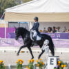 EL CDIW DRESSAGE 2025 abre sus puertas a más talentos jóvenes