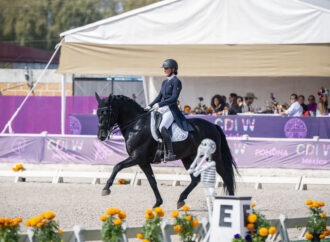 EL CDIW DRESSAGE 2025 abre sus puertas a más talentos jóvenes