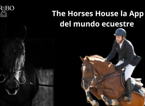 The Horses House: todo el mundo ecuestre, en una sola app