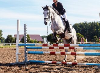 FEI analiza flexibilizar la “blood rule”: debate global sobre bienestar animal en el salto ecuestre