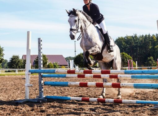 FEI analiza flexibilizar la “blood rule”: debate global sobre bienestar animal en el salto ecuestre