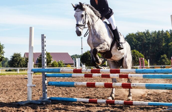 FEI analiza flexibilizar la “blood rule”: debate global sobre bienestar animal en el salto ecuestre