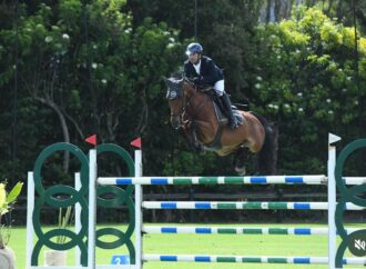 Pharvet impulsa una nueva era de nutrición y bienestar en el caballo deportivo