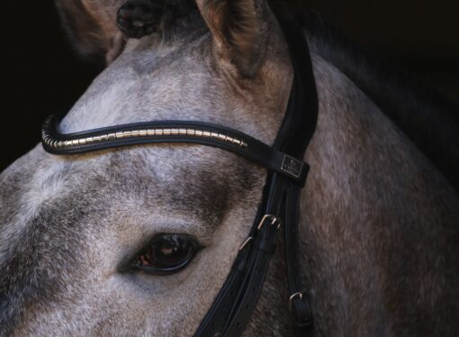 La nueva era del diseño anatómico llega a Colombia con Equestrian Essentials y SD®️