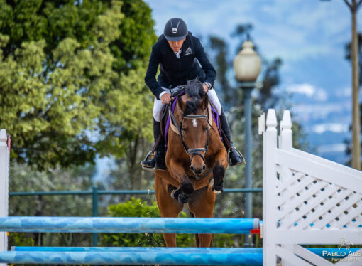 ProVest: Tecnología de punta en seguridad, estilo y comodidad. El airbag vest ecuestre, ahora disponible en America Latina