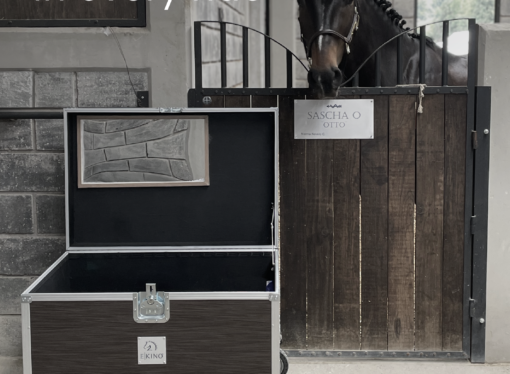 E-KINO: baúles de alto rendimiento avalados por jinetes olímpicos