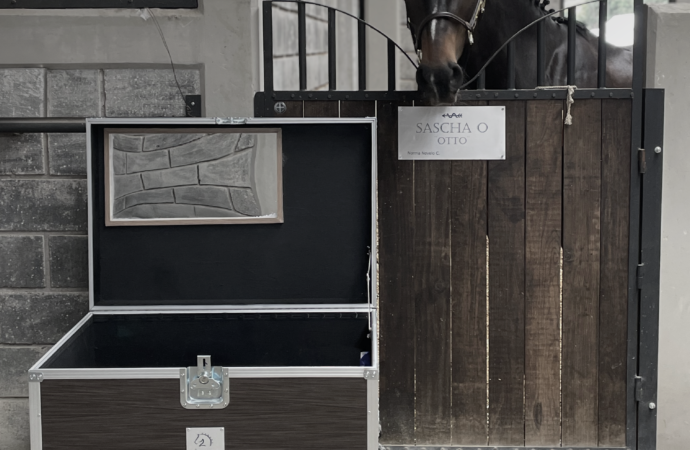 E-KINO: baúles de alto rendimiento avalados por jinetes olímpicos